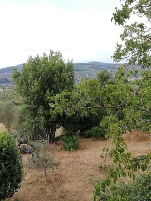 I Rosai Appartamento Sulle Colline Fiorentine Bagno a Ripoli Kültér fotó