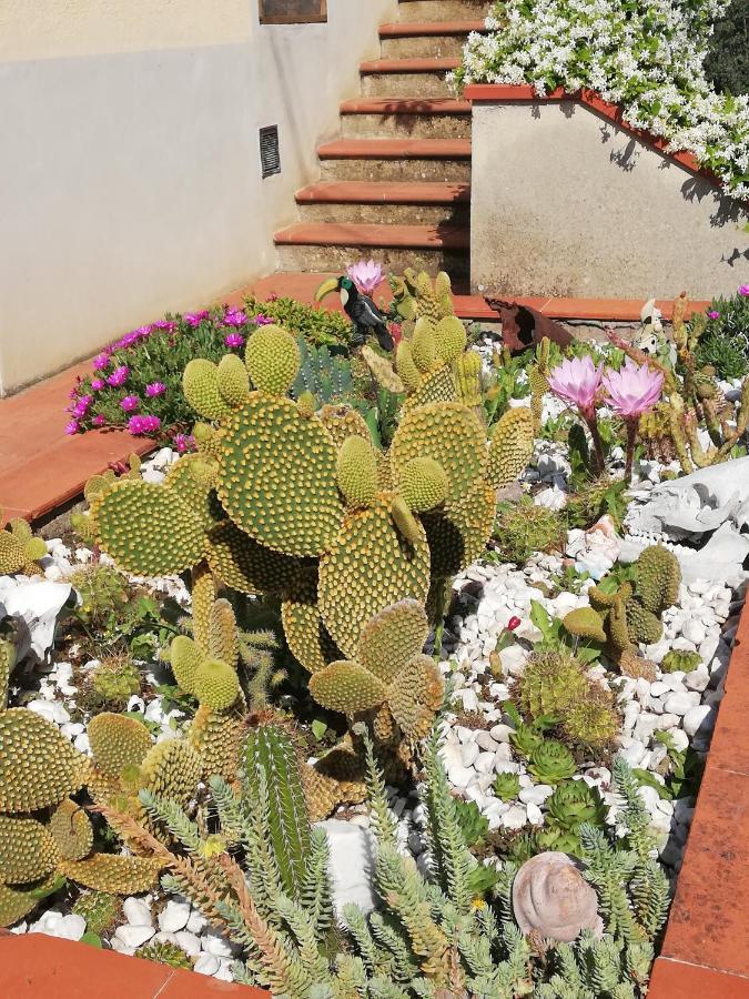 I Rosai Appartamento Sulle Colline Fiorentine Bagno a Ripoli Kültér fotó